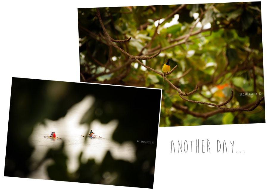 Morning sweet song and early morning catch... 